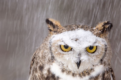 Coronovirus ~ Matt Kahn