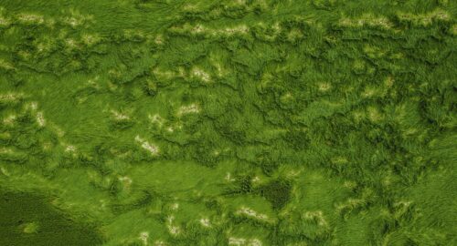 Natural Weed Killer Recipes