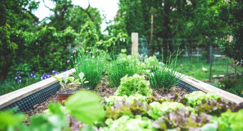 Insights & Delights, April 21, 2021