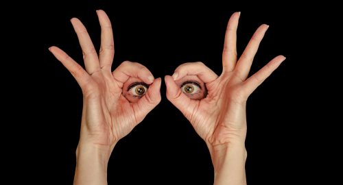 Insights & Delights, September 2023