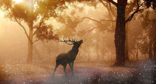 Insights & Delights, November 2023