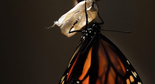 In a Time of Change, Focus & Self-care