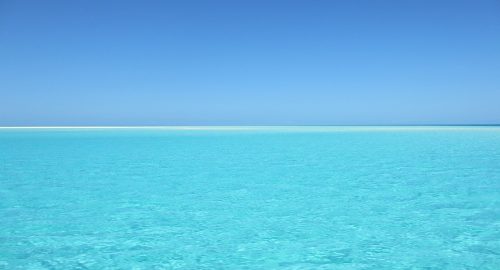 About White Heads: Mighty Patch by Hero Cosmetics